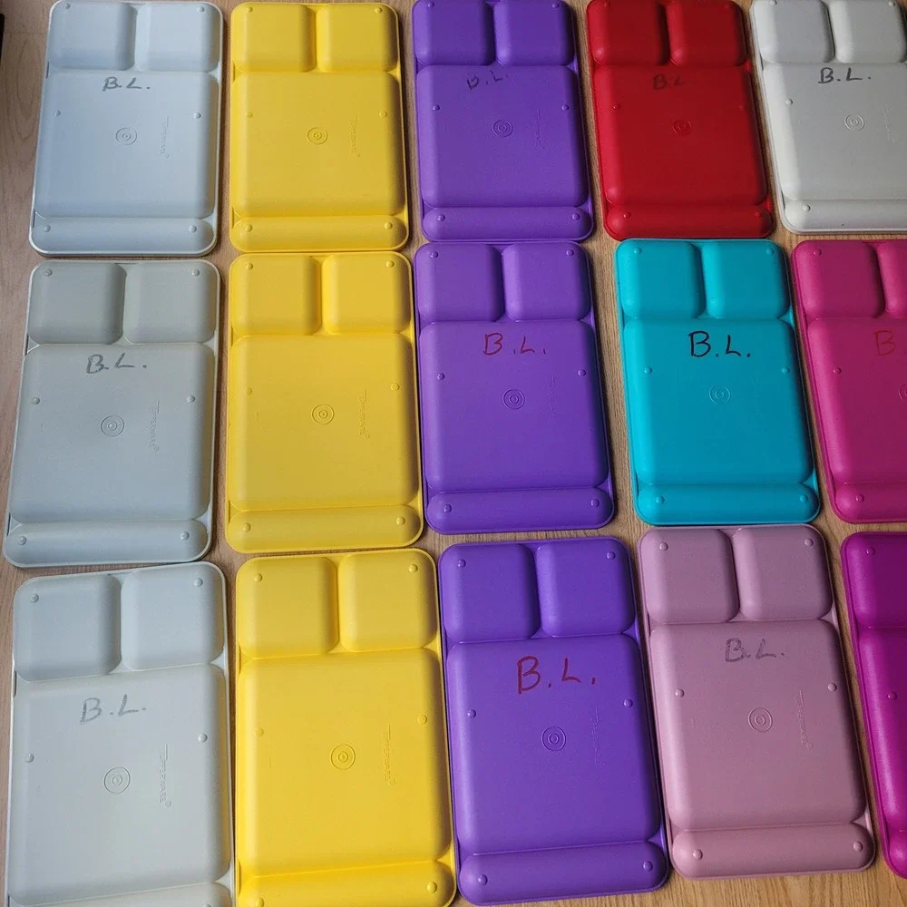 Tupperware Divided Set Lot 15 Colors Lunch Dinner TV 90s